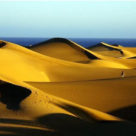 431 شقة بلايا ديل إنغلز